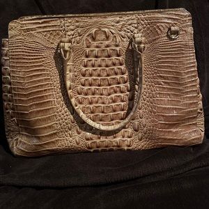 Great carry all Brahmin Bag! Neutral color.